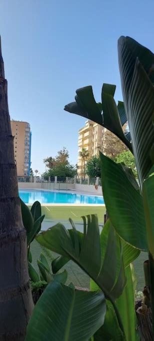 Elegante Alojamiento Con Piscina A 200 M Del Mar. Lejlighed Benalmádena Eksteriør billede